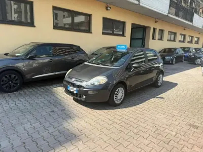 Usata Fiat Punto Evo Active 65 CV (47 kW) 2010 Grigio Utilitaria