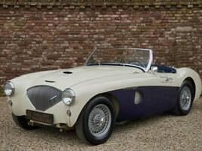 Usata Austin Healey 100 90 CV (66 kW) 1953 Bianco Cabrio