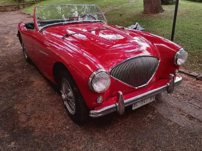 Usata Austin Healey 100 91 CV (66 kW) 1994 Rosso Cabrio