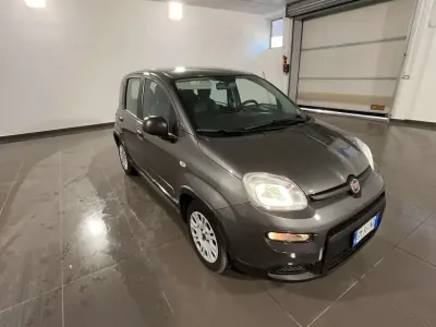 Usata Fiat Panda