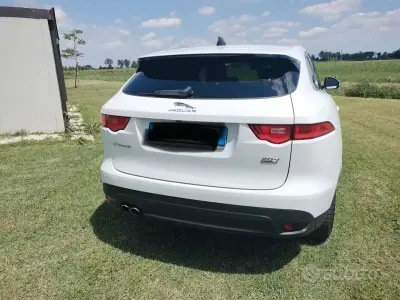 Usata Jaguar F-Pace 250 CV (183 kW) 2019 Bianco SUV