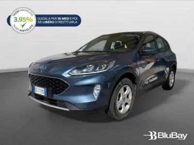Usata Ford Kuga Business Edition 225 CV (165 kW) 2021 Blu SUV