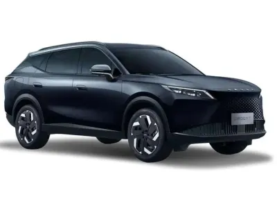 Usata Omoda 7