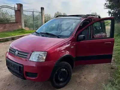 Usata Fiat Panda 4x4