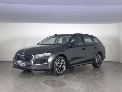 Usata Skoda Octavia