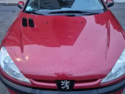 Usata Peugeot 206