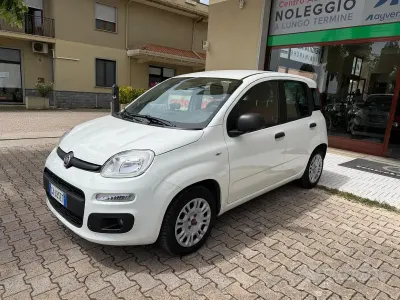 Usata Fiat Panda Lounge 69 CV (50 kW) 2020 Bianco Utilitaria