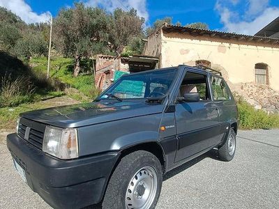Usata Fiat Panda 4x4 1991 Grigio Utilitaria