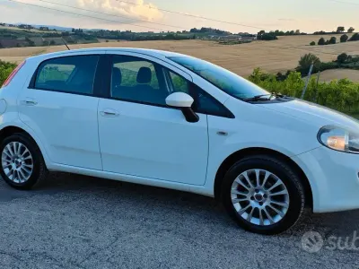 Usata Fiat Punto 77 CV (56 kW) 2015 Bianco Utilitaria