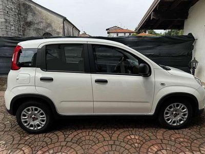 Usata Fiat Panda S 384 CV (282 kW) 2024 Bianco Utilitaria