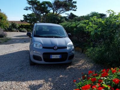 Usata Fiat Panda 69 CV (50 kW) 2017 Grigio Utilitaria