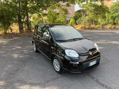Usata Fiat Panda Cross Cross 69 CV (50 kW) 2024 Utilitaria