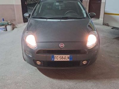 usata Fiat Punto 5p 1.2 yougn GPL