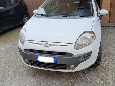 usata Fiat Punto Evo Punto Evo 1.4 5 porte Active Natural Power