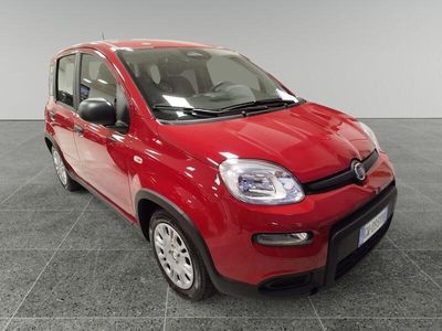 Usata Fiat Panda S 69 CV (50 kW) 2024 Rosso Utilitaria
