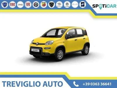 Usata Fiat Panda S 71 CV (52 kW) 2024 Nero Utilitaria