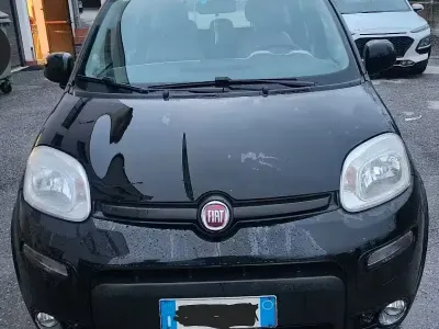 Usata Fiat Panda 4x4 75 CV (55 kW) 2014 Nero Utilitaria
