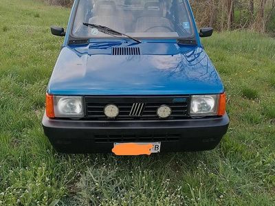 Usata Fiat Panda 39 CV (28 kW) 1995 Blu Utilitaria
