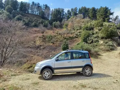 Usado Fiat Panda 4x4 60 HP (44 kW) 2006 Citadino