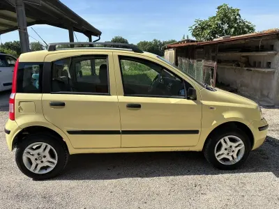 Usata Fiat Panda 60 CV (44 kW) 2008 Giallo Utilitaria
