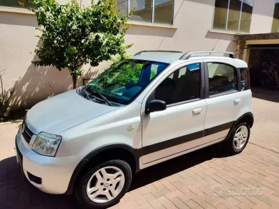 Usata Fiat Panda 60 CV (44 kW) 2008 Grigio Utilitaria