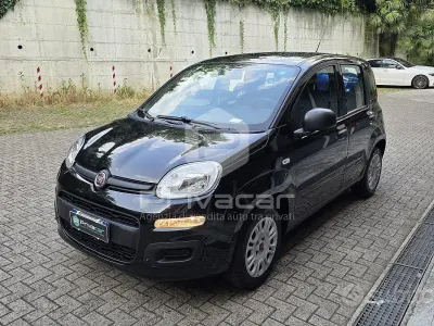 Usata Fiat Panda Easy 69 CV (50 kW) 2019 Nero Utilitaria