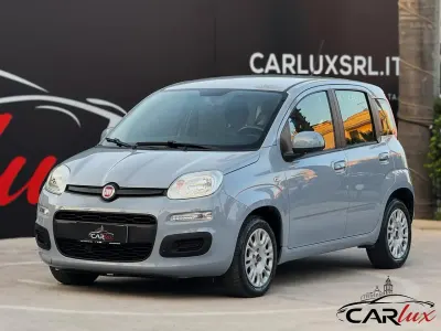 Usata Fiat Panda Easy 69 CV (50 kW) 2019 Grigio Utilitaria