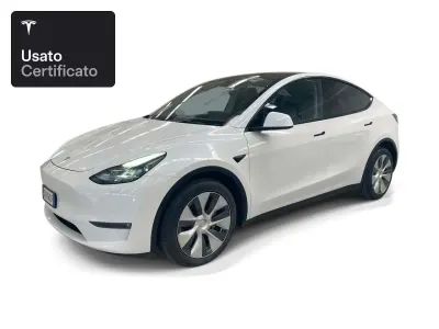 Usata Tesla Model Y Long Range AWD 258 kW (351 CV) 2021 Pearl white multicoat SUV