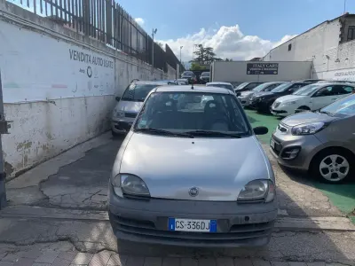 Occasion Fiat 600 54 ch (39 kW) 2005 Gris Berline