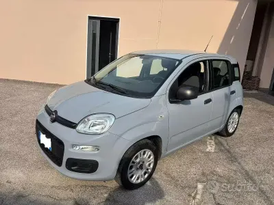 Usata Fiat Panda Easy 69 CV (50 kW) 2019 Grigio Utilitaria