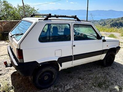 Usata Fiat Panda 4x4 2001 Bianco Utilitaria