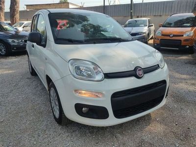 usata Fiat Panda 1.2 Easy CLIMA OK NEOPATENTATI