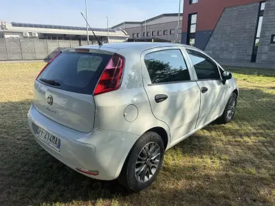 Usata Fiat Punto Lounge 105 CV (77 kW) 2016 Utilitaria