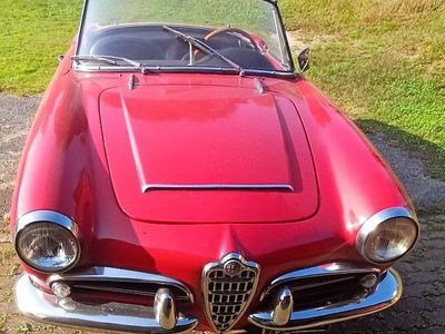 Käytetty Alfa Romeo Giulia Spider 90 HP (66 kW) 1964 Punainen Avoauto