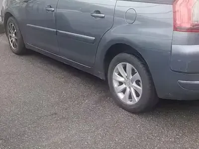 Usata Citroën C4 Picasso
