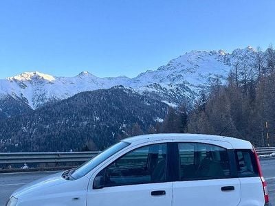 Usata Fiat Panda 4x4 2008 Utilitaria