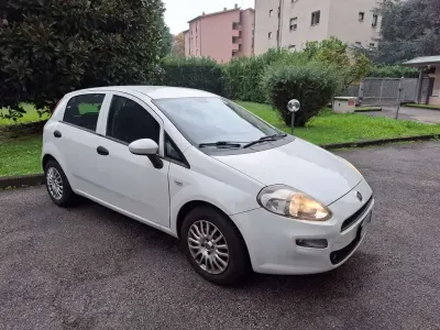 Usata Fiat Punto Young 69 CV (50 kW) 2016 Bianco Utilitaria