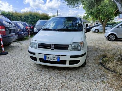 usata Fiat Panda 1.2 Dynamic usato