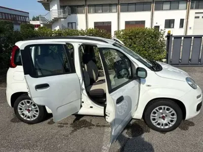Usata Fiat Panda Lounge 69 CV (50 kW) 2014 Bianco Utilitaria