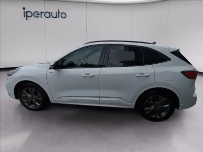 Usata Ford Kuga ST-Line X 190 CV (139 kW) 2023 Bianco SUV