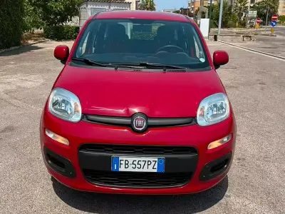 Usata Fiat Panda 69 CV (50 kW) 2016 Rosso Utilitaria