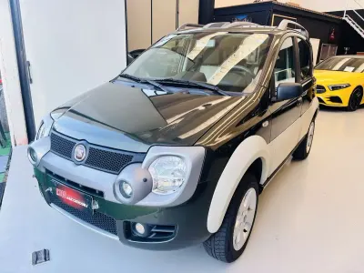 Usata Fiat Panda 4x4 Cross 69 CV (50 kW) 2008 Verde Utilitaria