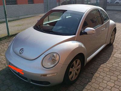 VW Beetle