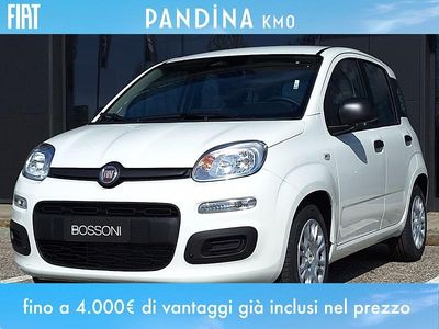 Nuova Fiat Panda Icon 65 CV (47 kW) 2026 Bianco Utilitaria