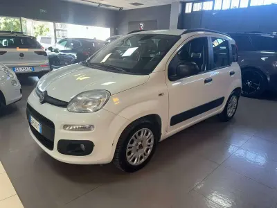 Usata Fiat Panda Easy 69 CV (50 kW) 2014 Bianco Utilitaria