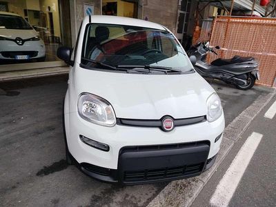 Usata Fiat Panda S 69 CV (50 kW) 2024 Bianco Utilitaria