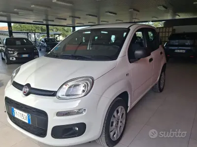 Usata Fiat Panda Easy 71 CV (52 kW) 2019 Bianco Utilitaria