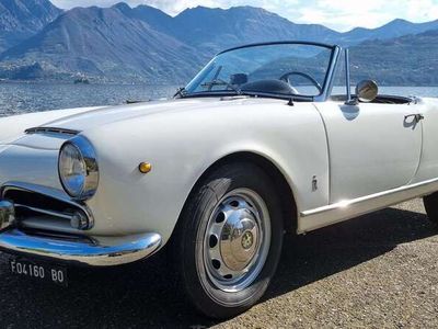 usata Alfa Romeo Giulia Spider 1.6