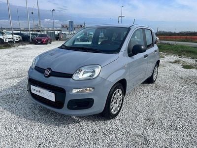 Usata Fiat Panda Easy 69 CV (50 kW) 2020 Grigio Utilitaria