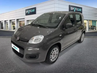 Usata Fiat Panda S 69 CV (50 kW) 2022 Grigio Utilitaria